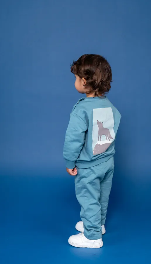 Комплект для мальчика